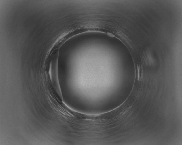X0000053010723200507081259