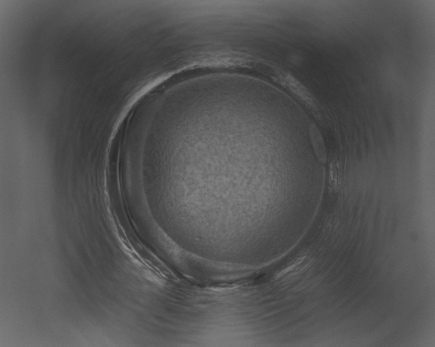 X0000053010724200507081259