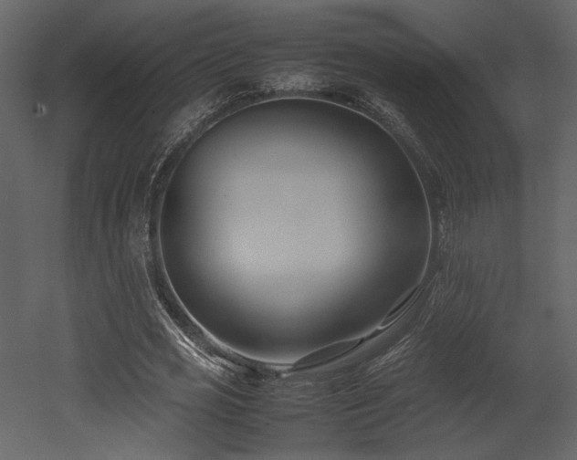 X0000053010725200507081259