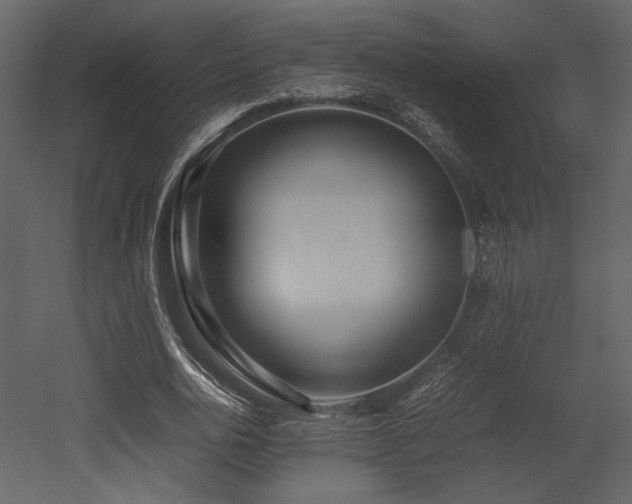 X0000053010726200507081259