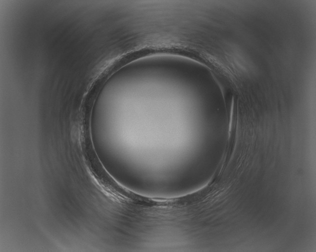 X0000053010728200507081259