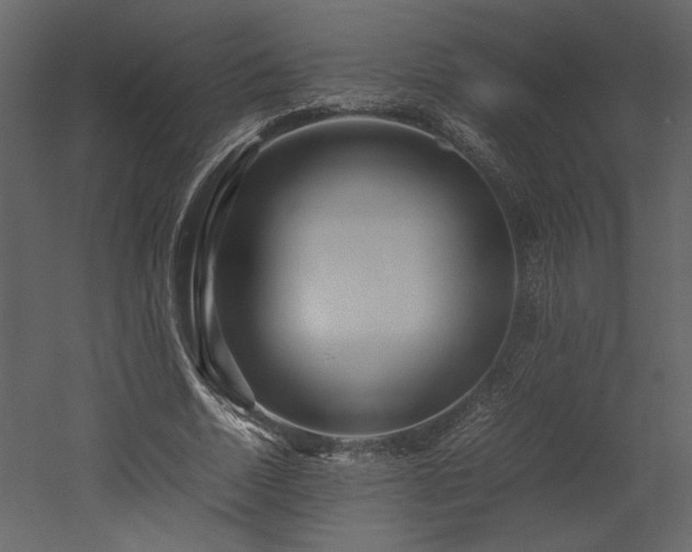 X0000053010730200507081259