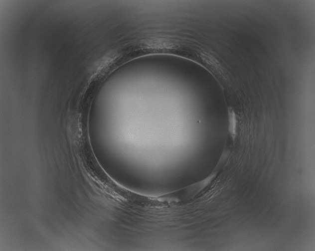 X0000053010731200507081259