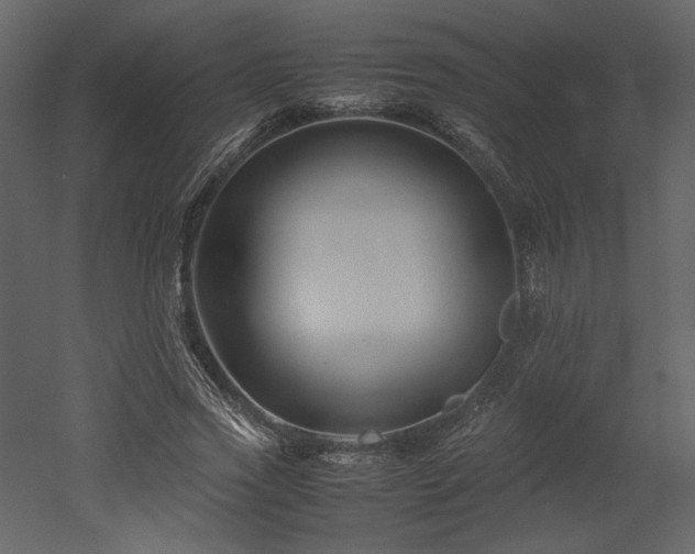 X0000053010733200507081259