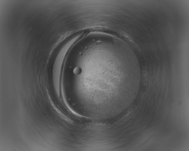 X0000053010734200507081259