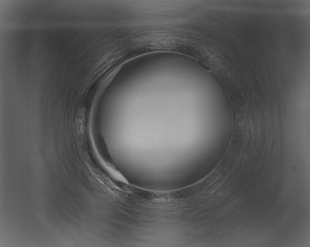 X0000053010744200507081259