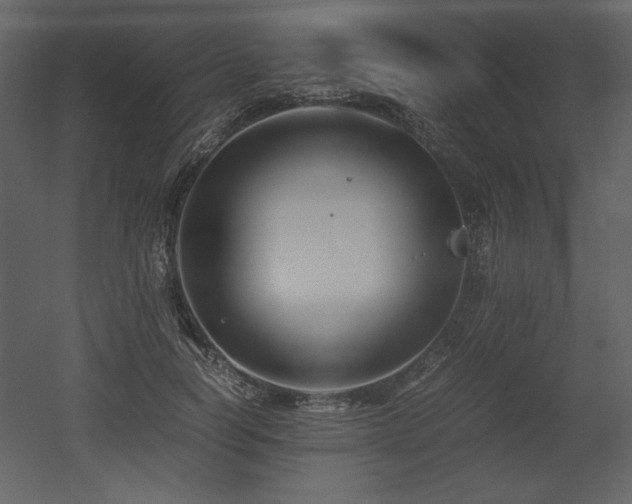 X0000053010746200507081259