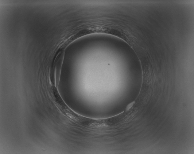 X0000053010747200507081259