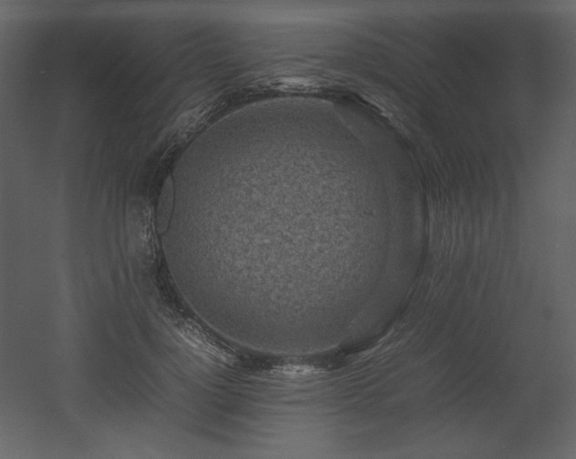 X0000053010748200507081259