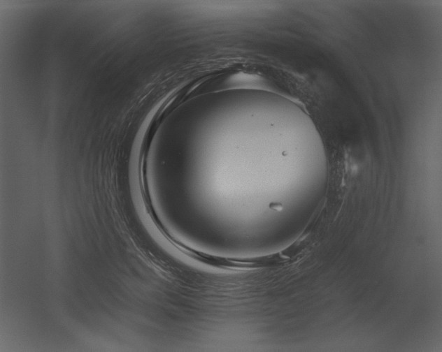 X0000053010750200507081259
