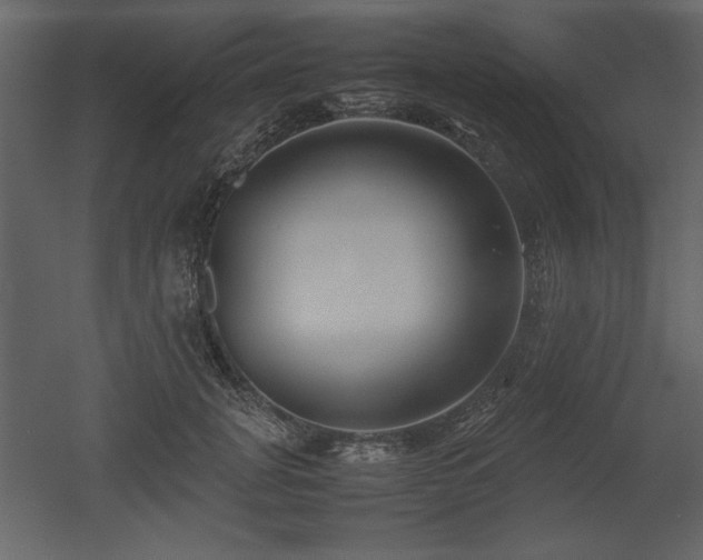 X0000053010751200507081259