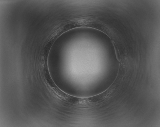 X0000053010752200507081259