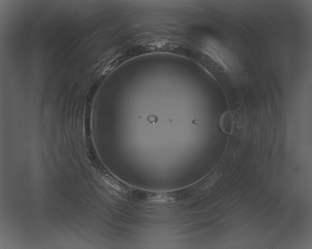 X0000053010754200507081259
