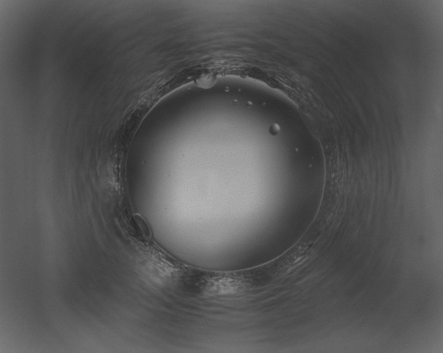 X0000053010755200507081259