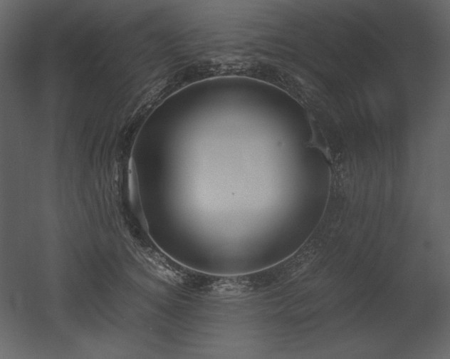 X0000053010756200507081259