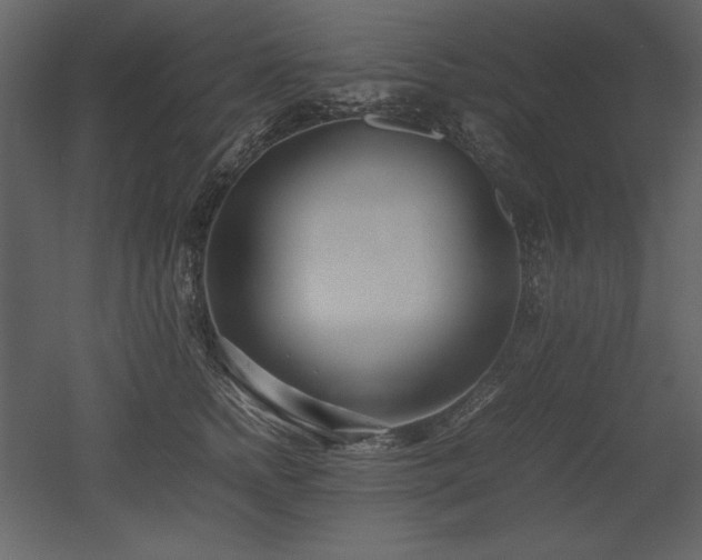 X0000053010758200507081259