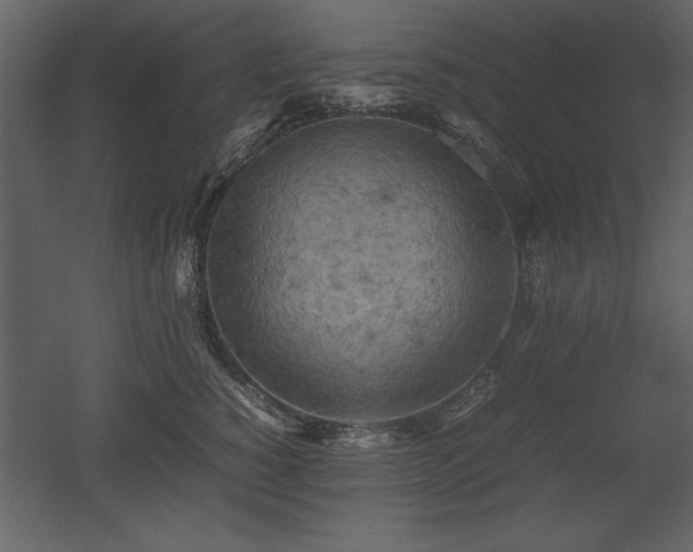 X0000053010760200507081259