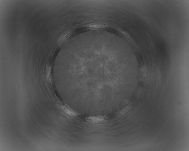 X0000053010765200507081259