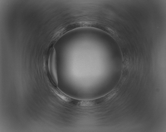 X0000053010766200507081259