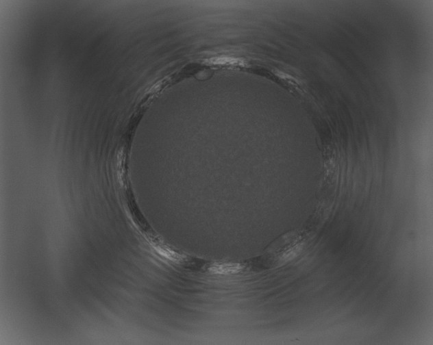 X0000053010767200507081259