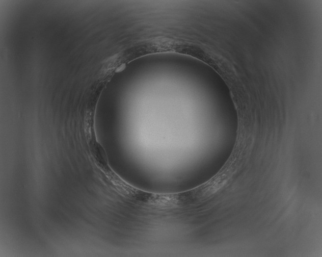 X0000053010768200507081259