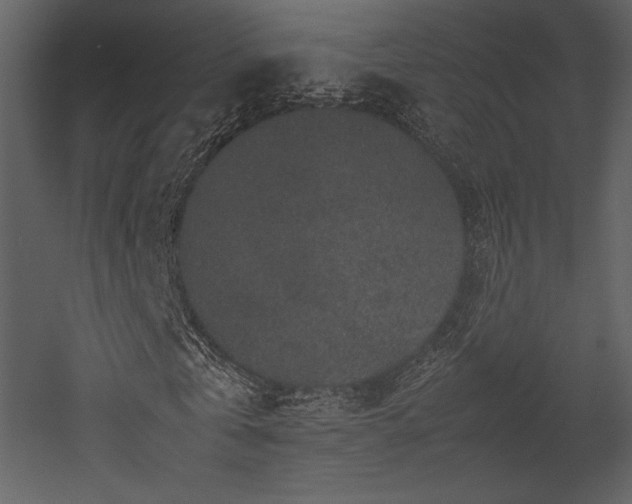X0000053010769200507081259