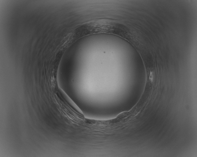 X0000053010771200507081258