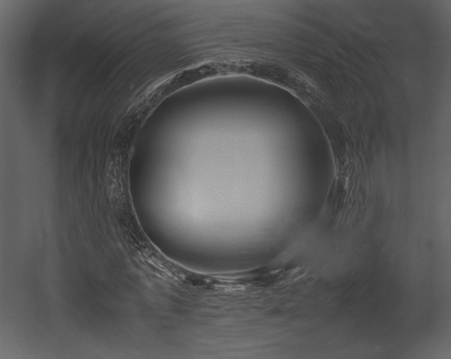 X0000053010773200507081258