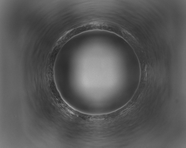 X0000053010776200507081258