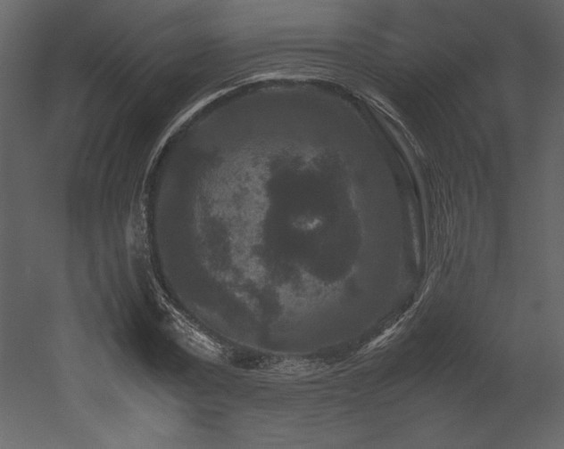 X0000053010779200507081258