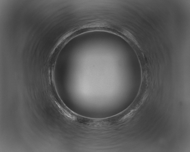 X0000053010781200507081258