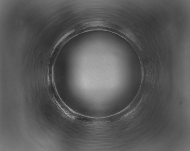 X0000053010782200507081258