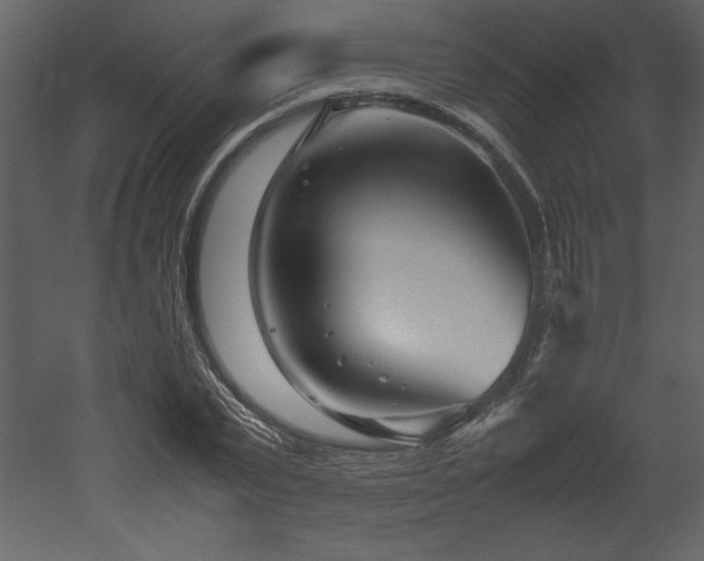 X0000053010783200507081258