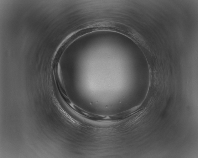 X0000053010784200507081258