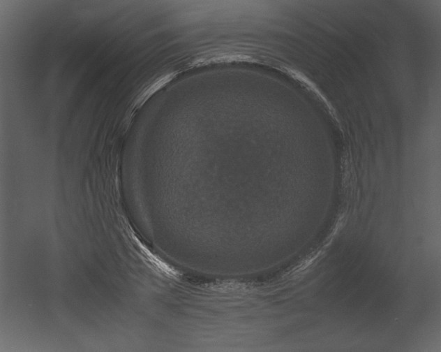 X0000053010785200507081258