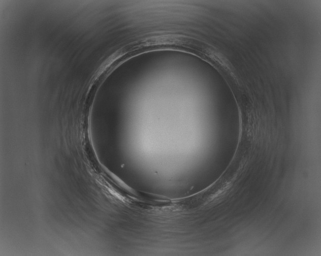 X0000053010786200507081258