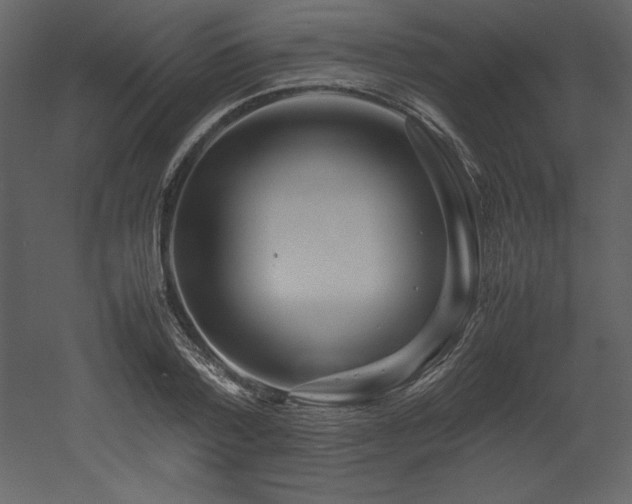 X0000053010788200507081258
