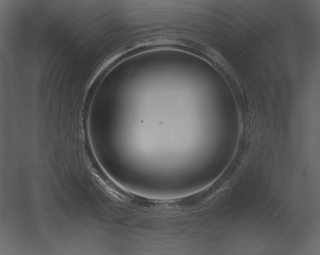 X0000053010789200507081258