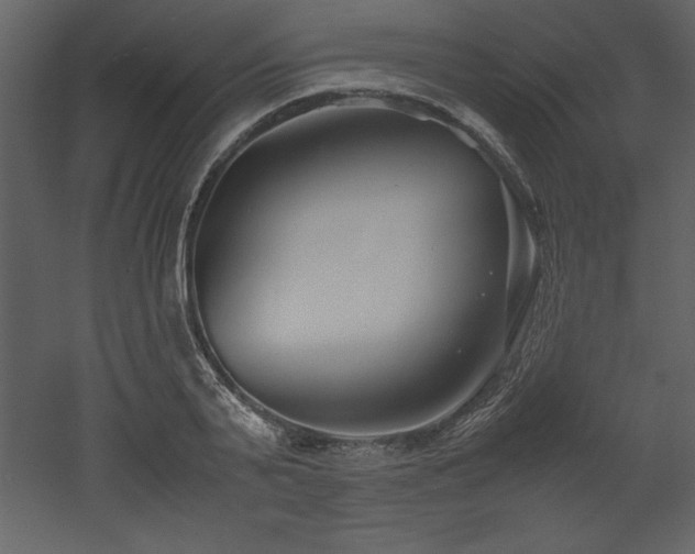 X0000053010791200507081258