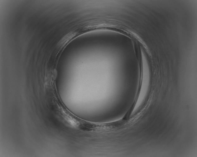 X0000053010793200507081258