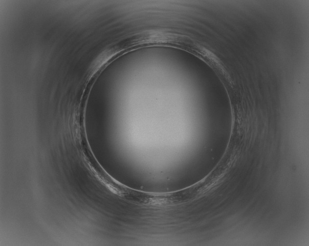 X0000053010794200507081258