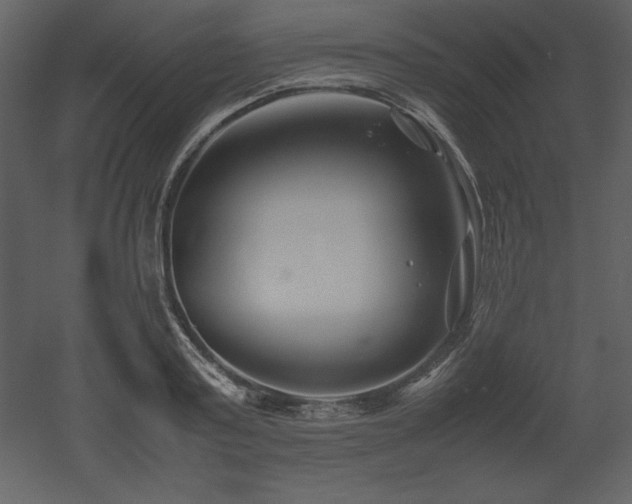 X0000053010795200507081258