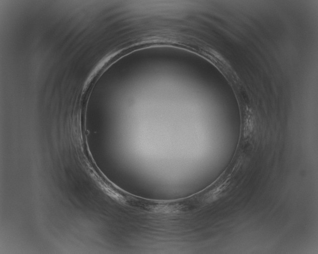 X0000053010796200507081258