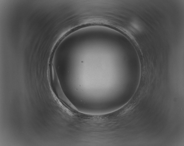 X0000053010799200507081258