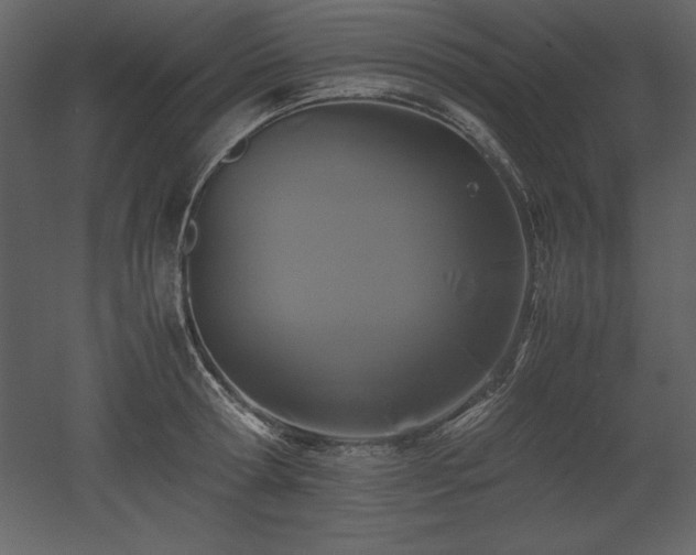 X0000053010802200507081258