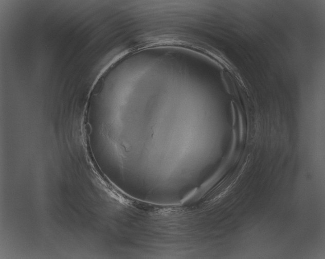 X0000053010806200507081258