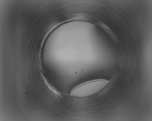 X0000053010808200507081258