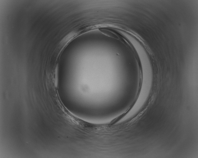 X0000053010809200507081258