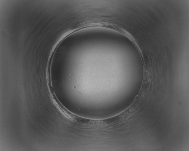 X0000053010811200507081258