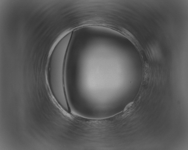 X0000053010812200507081258